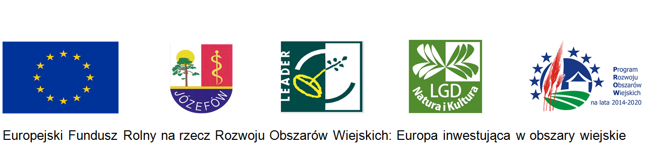 Logotypy instytucji, które udzieliły dofinansowania