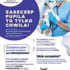 Weterynarz trzyma psa, pod spodem informacje nt. szczepień, na dole zdjęcie kota.