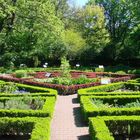 Ogród botaniczny w Warszawie